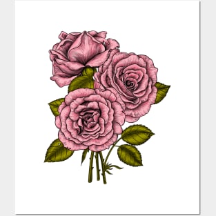 Pink roses bouquet Posters and Art